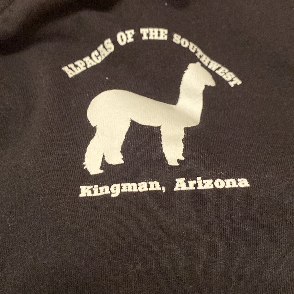 Men’s t-shirt